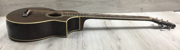 Ibanez  EWB205WNENT Basso Acustico 5 corde