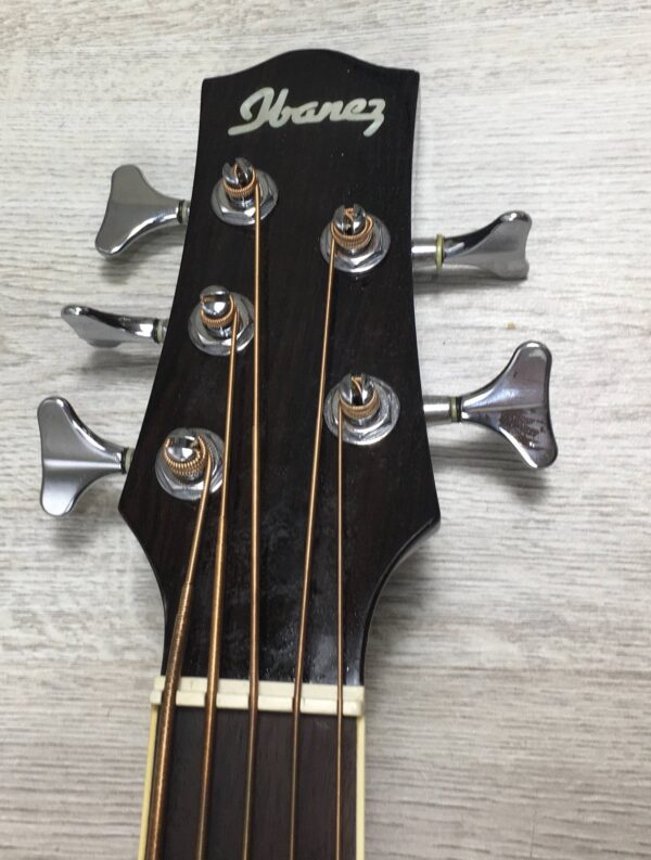 Ibanez  EWB205WNENT Basso Acustico 5 corde