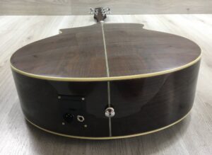 Ibanez  EWB205WNENT Basso Acustico 5 corde