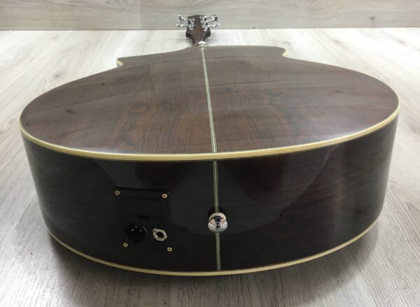Ibanez  EWB205WNENT Basso Acustico 5 corde