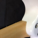Ibanez Jem 555 Steve Vai Signature con custodia rigida