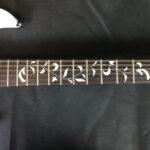 Ibanez Jem 555 Steve Vai Signature con custodia rigida