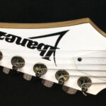 Ibanez Jem 555 Steve Vai Signature con custodia rigida