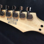 Ibanez Jem 555 Steve Vai Signature con custodia rigida