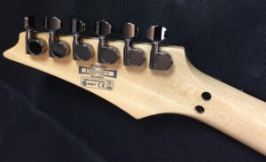 Ibanez Jem 555 Steve Vai Signature con custodia rigida