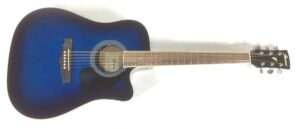 Ibanez PF15 ECE TBS