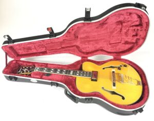Ibanez PM2 AA Pat Metheny con custodia