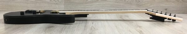 Ibanez RG421EX + visual note
