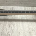 Ibanez RGA21P1PB-DRL