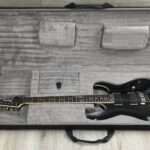Ibanez RGA42T