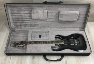 Ibanez RGA42T