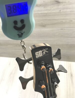 Ibanez SR300E1P-01