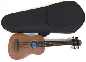 Kala Ubass SMHG-FL Fretless