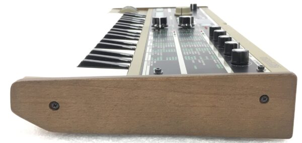 Korg microKORG + Flight Case