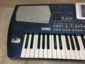 Korg PA500