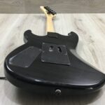 Kramer Guitars Feral Cat