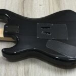 Kramer Guitars Feral Cat