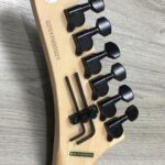 Kramer Guitars Feral Cat