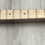 Kramer Guitars Feral Cat