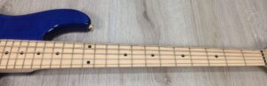 Lakland Skyline 55-02 Deluxe Trans Blue + custodia mono