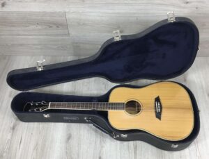 Larry Carlton A3-G Cutaway Natural