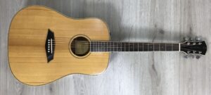 Larry Carlton A3-G Cutaway Natural