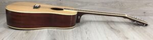 Larry Carlton A3-G Cutaway Natural