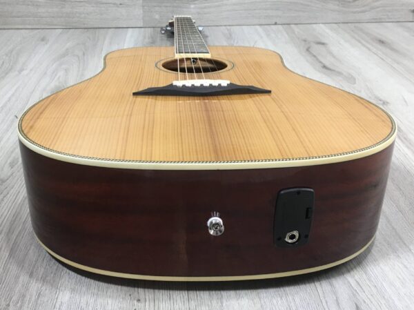 Larry Carlton A3-G Cutaway Natural