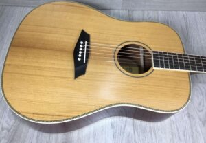 Larry Carlton A3-G Cutaway Natural