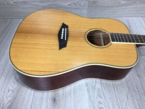 Larry Carlton A3-G Cutaway Natural