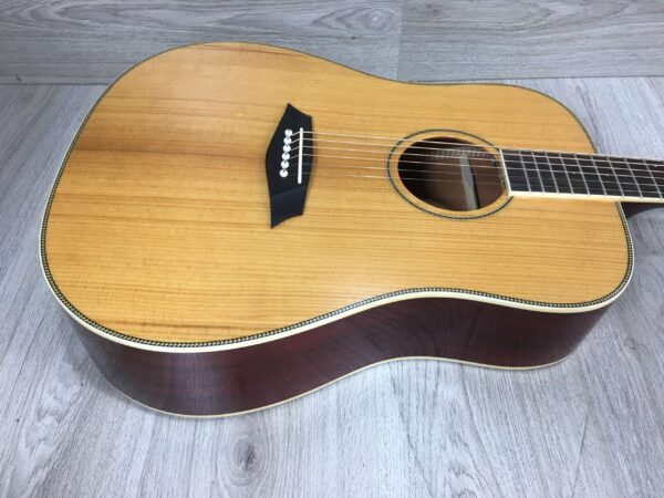 Larry Carlton A3-G Cutaway Natural