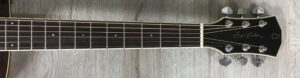 Larry Carlton A3-G Cutaway Natural
