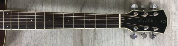 Larry Carlton A3-G Cutaway Natural