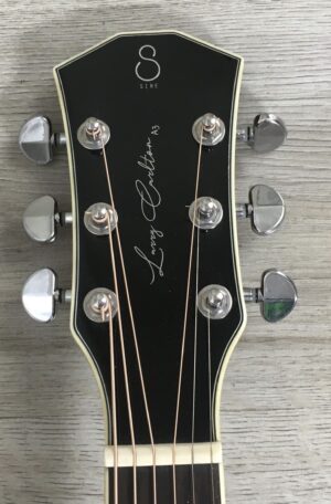 Larry Carlton A3-G Cutaway Natural