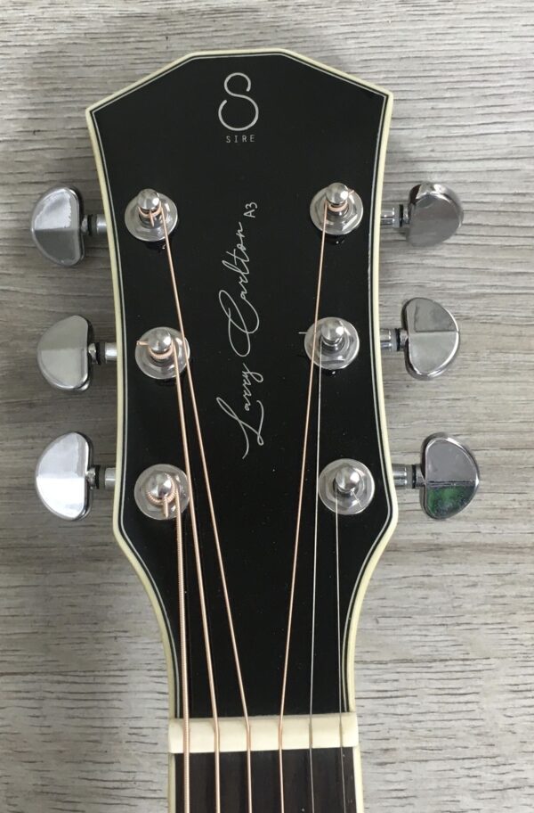 Larry Carlton A3-G Cutaway Natural