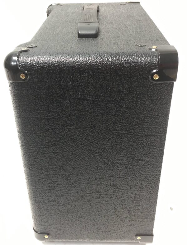 Marshall DSL 5C