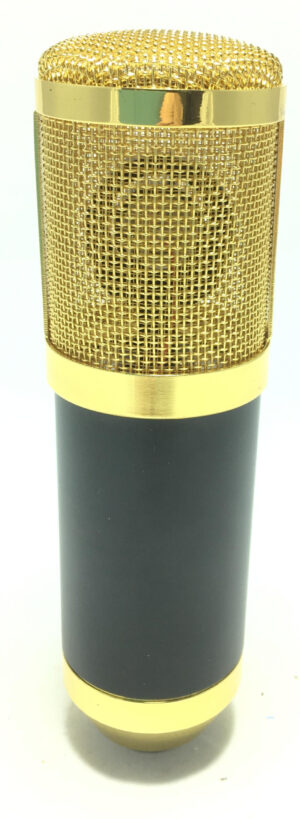 Microfono a Condensatore da Studio