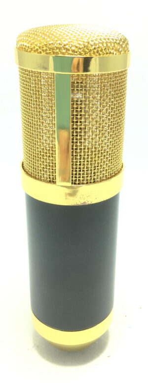 Microfono a Condensatore da Studio
