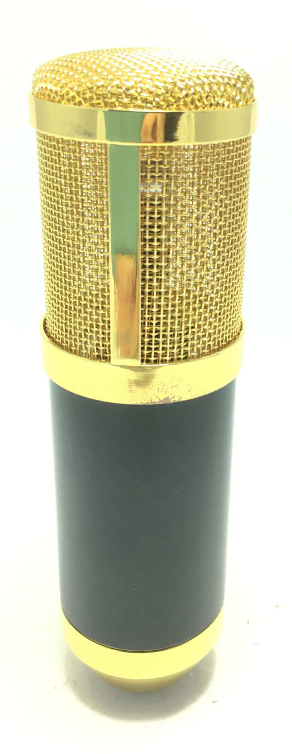 Microfono a Condensatore da Studio