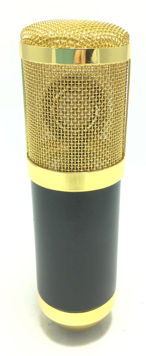 Microfono a Condensatore da Studio