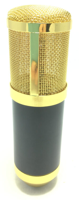 Microfono a Condensatore da Studio