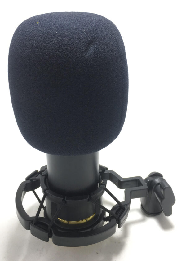 Microfono a Condensatore da Studio