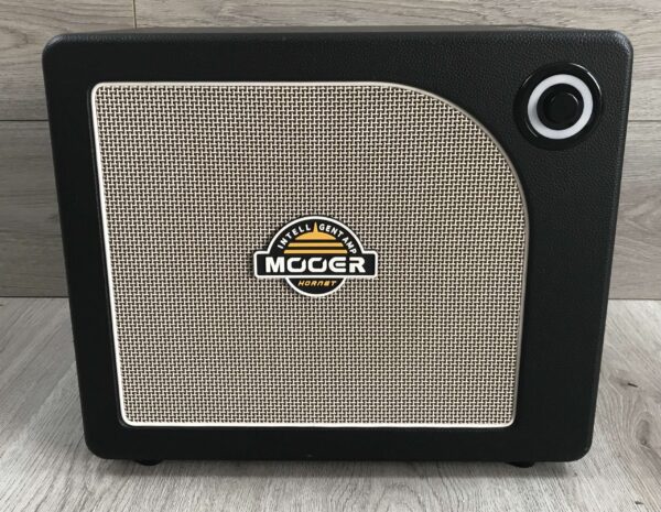 Mooer Hornet 30i