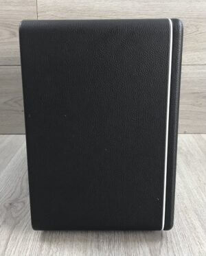 Mooer Hornet 30i