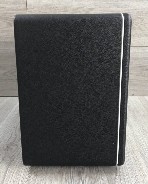 Mooer Hornet 30i