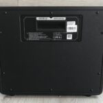 Mooer Hornet 30i