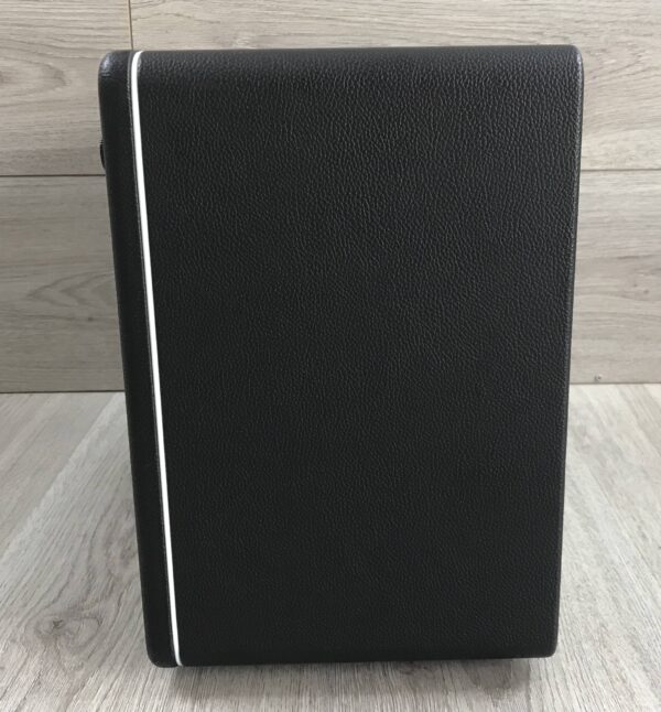 Mooer Hornet 30i