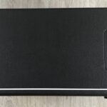 Mooer Hornet 30i