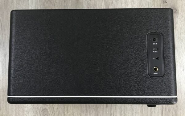 Mooer Hornet 30i