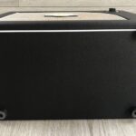 Mooer Hornet 30i